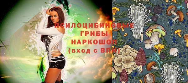 молекула духа Богданович