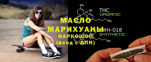 молекула духа Богданович