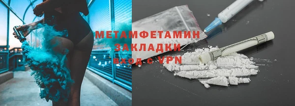 молекула духа Богданович