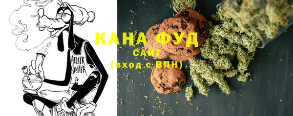 молекула духа Богданович