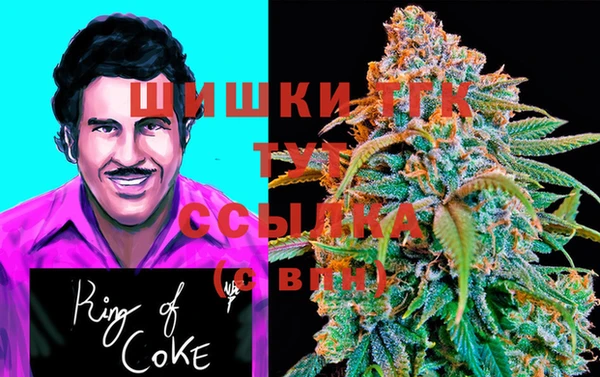 молекула духа Богданович