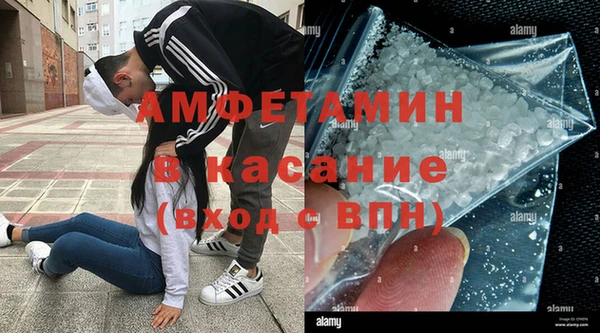молекула духа Богданович