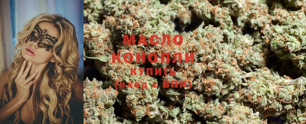 молекула духа Богданович