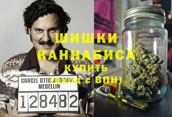 молекула духа Богданович